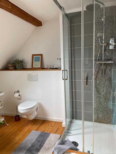 Apartment Charmante Altbauwohnung In Perfekter Lage