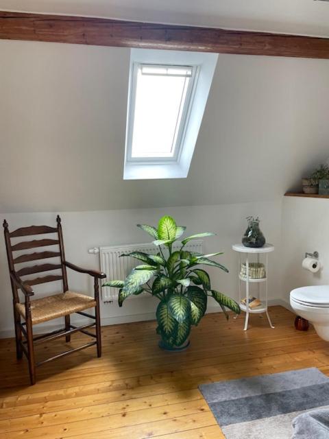 Apartment Charmante Altbauwohnung In Perfekter Lage *