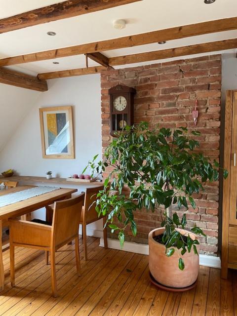 Apartment Charmante Altbauwohnung In Perfekter Lage Osnabrueck